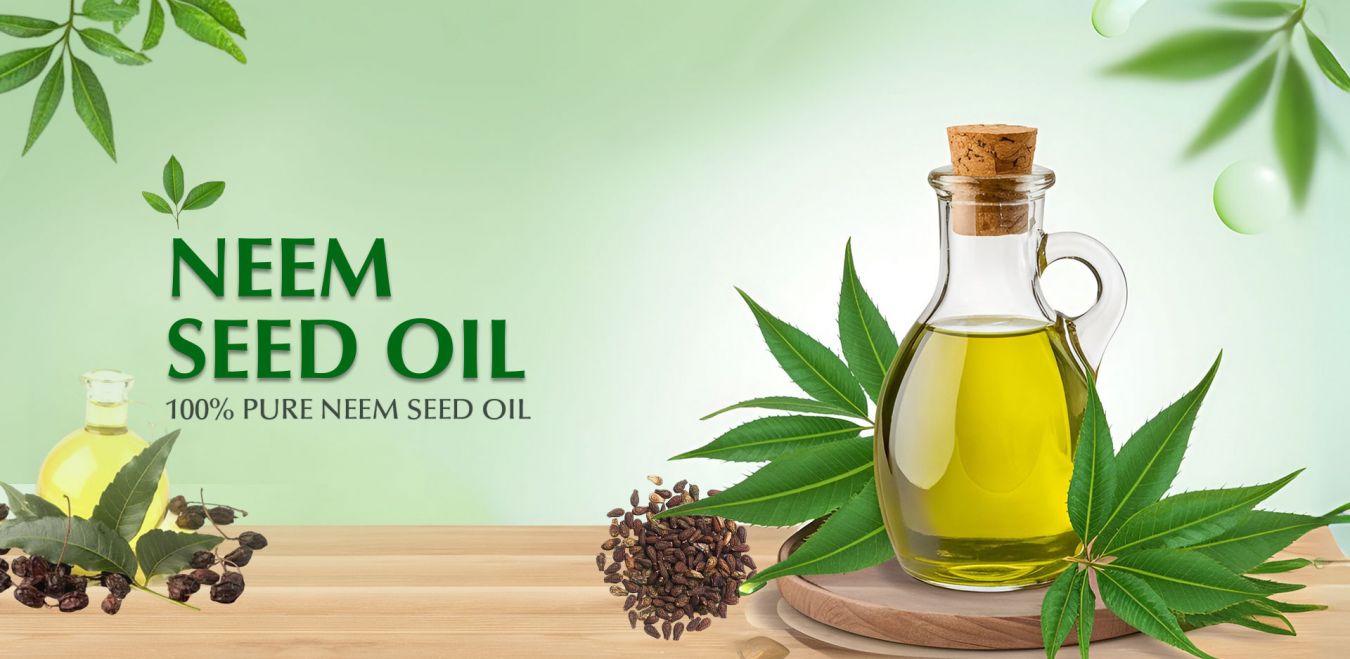 Neem Seed Oil Manufacturers in Pakistan