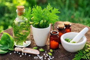 How Are Reliable Herbal Extract Suppliers Powering the Clean Beauty Revolution