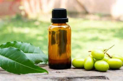 Is Neem Seed Oil the Ultimate Solution for Acne and Dandruff?