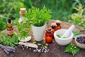 Looking for Purity Quality and Reliability from a Herbal Extract Supplier in USA