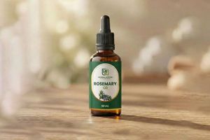 What Makes Essential Oils Manufacturers in India the New Go To for Self Care Lovers