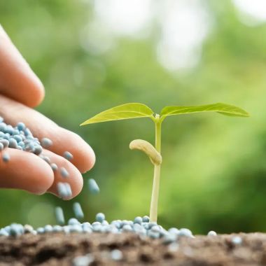 Biopesticides Manufacturers in Paris