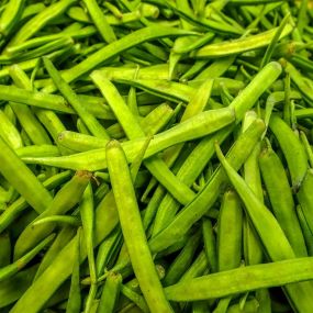 Guar Gum Manufacturers in Belgium