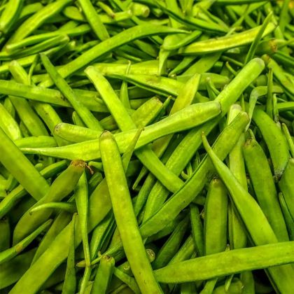 Guar Gum Manufacturers in Paris