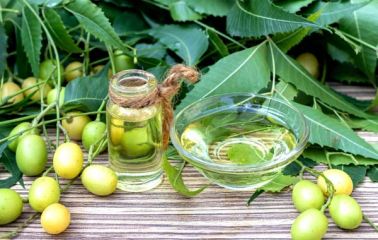 Neem Seed Oil Manufacturers in Pakistan