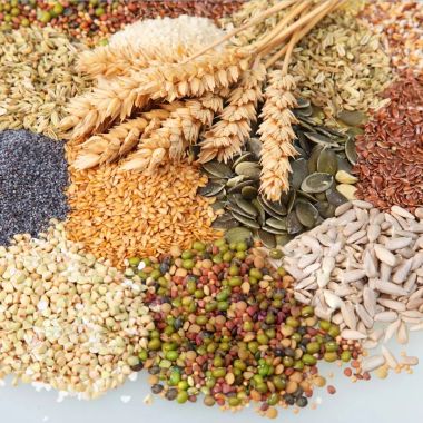 Vegetable Seeds Manufacturers in Paris