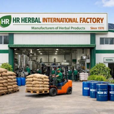 Herbal Products Manufacturing at HR Herbal International Factory