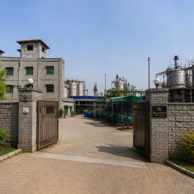 Modern Manufacturing Factory Building