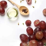 Organic Seed Oils Suppliers in Belgium