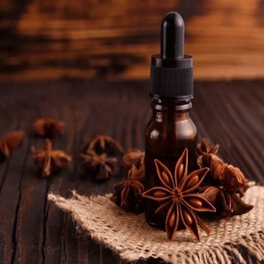 Anise Seed Oil Manufacturers, Suppliers, Exporters in Bologna