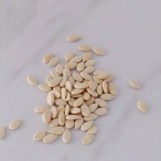 Ash Gourd Seeds Manufacturers, Suppliers, Exporters in Valencia