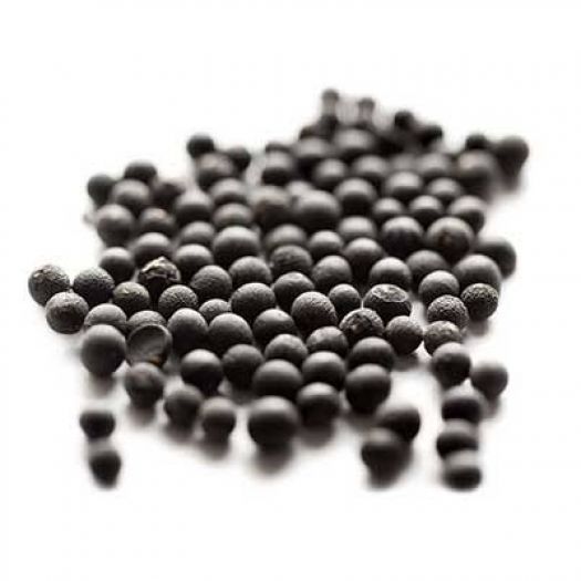 Asparagus Seeds Manufacturers, Suppliers, Exporters in Valencia