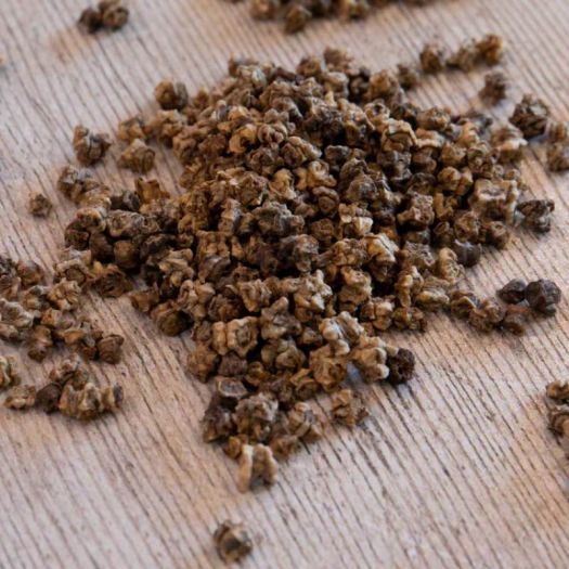 Beetroot Seeds Manufacturers, Suppliers, Exporters in Valencia