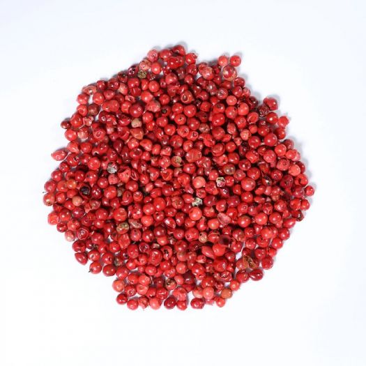 Bell Pepper Seeds Manufacturers, Suppliers, Exporters in Valencia