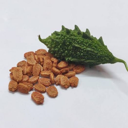 Bitter Gourd Seeds Manufacturers, Suppliers, Exporters in Valencia