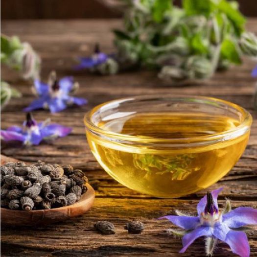 Borage Seed Oil Manufacturers, Suppliers, Exporters in Bologna