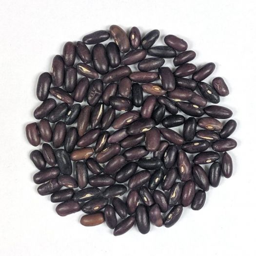 Bush Bean Seeds Manufacturers, Suppliers, Exporters in Valencia