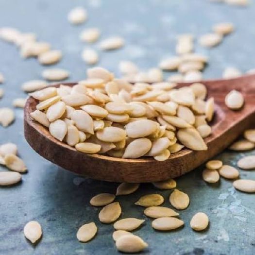 Cantaloupe Seeds Manufacturers, Suppliers, Exporters in Valencia