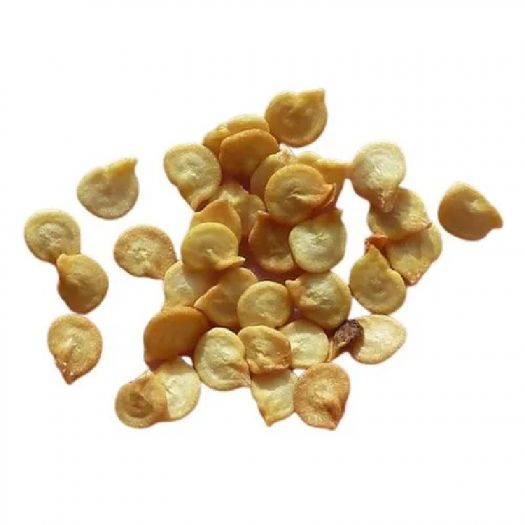 Capsicum Seeds Manufacturers, Suppliers, Exporters in Valencia