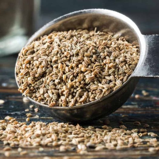 Celery Seeds Manufacturers, Suppliers, Exporters in Valencia