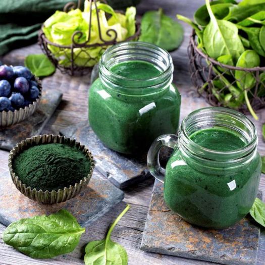Chlorella Powder Manufacturers, Suppliers, Exporters in Pakistan