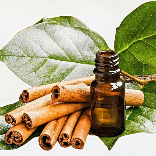 Cinnamon Oil Manufacturers, Suppliers, Exporters in Paris
