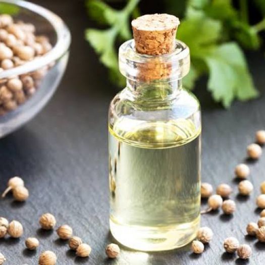 Coriander Seed Oil Manufacturers, Suppliers, Exporters in Bologna