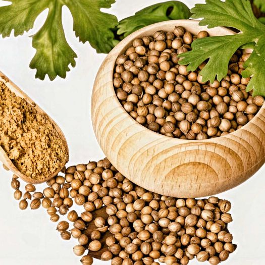 Coriander Seeds Manufacturers, Suppliers, Exporters in South Korea