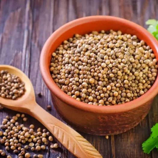 Coriander Seeds Manufacturers, Suppliers, Exporters in Valencia