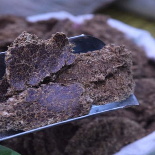 Cotton Seed Meal Manufacturers, Suppliers, Exporters in China
