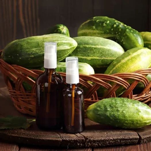 Cucumber Seed Oil Manufacturers, Suppliers, Exporters in Bologna