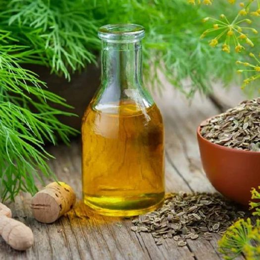 Dill Seed Oil Manufacturers, Suppliers, Exporters in Netherlands