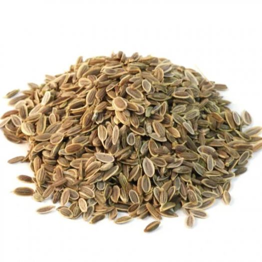 Dill Seeds Manufacturers, Suppliers, Exporters in Beijing