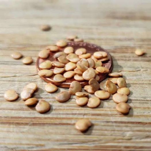 Eggplant (Brinjal) Seeds Manufacturers, Suppliers, Exporters in Valencia