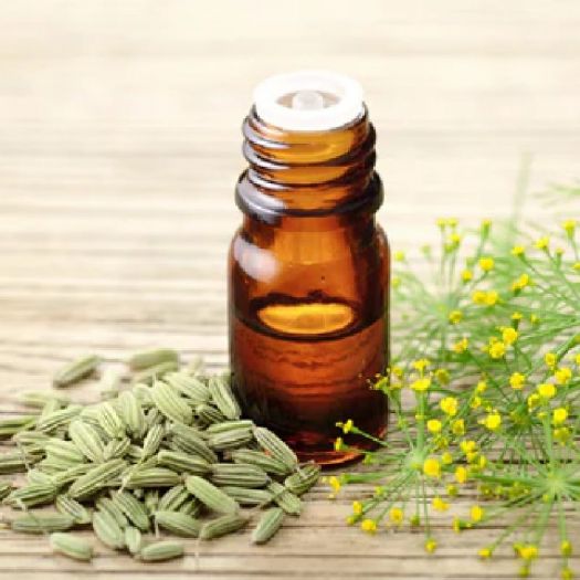 Fennel Seed Oil Manufacturers, Suppliers, Exporters in Bologna