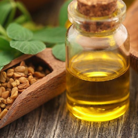 Fenugreek Seed Oil Manufacturers, Suppliers, Exporters in Bologna