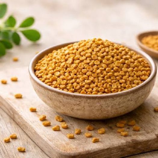 Fenugreek Seeds Manufacturers, Suppliers, Exporters in Beijing