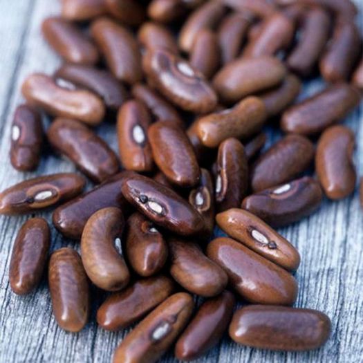 French Bean Seeds Manufacturers, Suppliers, Exporters in Valencia