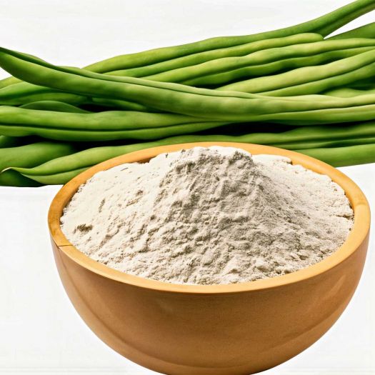 Guar Gum Manufacturers, Suppliers, Exporters in Paris
