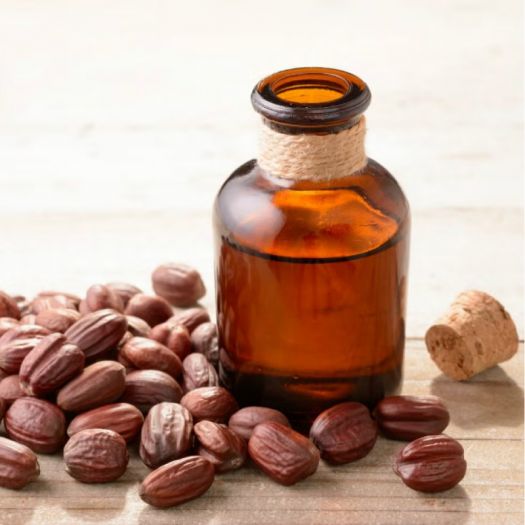 Jojoba Seed Oil Manufacturers, Suppliers, Exporters in Bologna