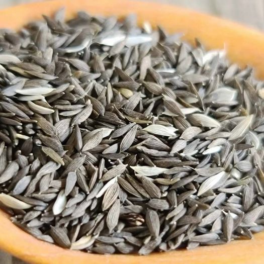 Lettuce Seeds Manufacturers, Suppliers, Exporters in Beijing