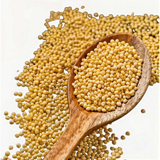 Millet Seeds Manufacturers, Suppliers, Exporters in Paris