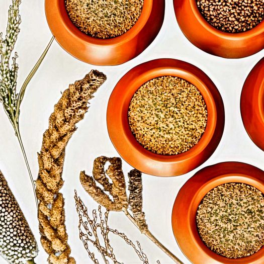 Millet Seeds Manufacturers, Suppliers, Exporters in South Korea
