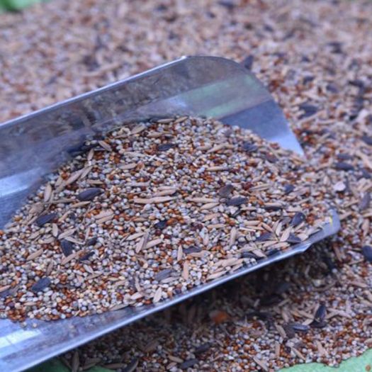Mixed Seeds Feed Manufacturers, Suppliers, Exporters in China