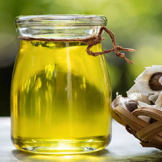 Moringa Seed Oil Manufacturers, Suppliers, Exporters in Bologna