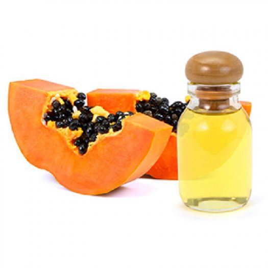 Papaya Seed Oil Manufacturers, Suppliers, Exporters in Bologna