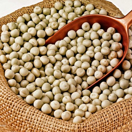 Pea Seeds Manufacturers, Suppliers, Exporters in South Korea
