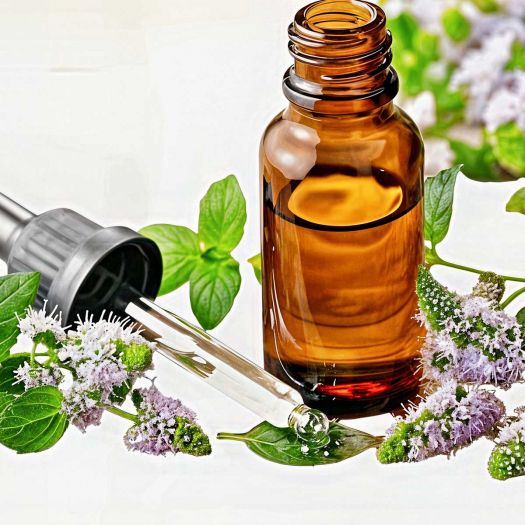 Peppermint Oil Manufacturers, Suppliers, Exporters in Paris