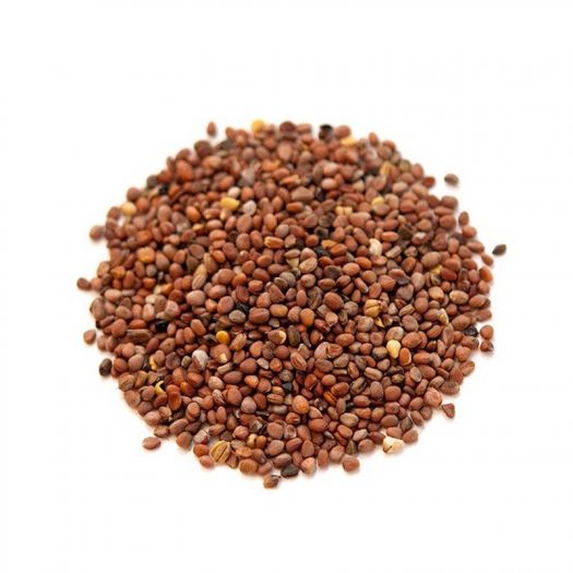 Radish Seeds Manufacturers, Suppliers, Exporters in Valencia