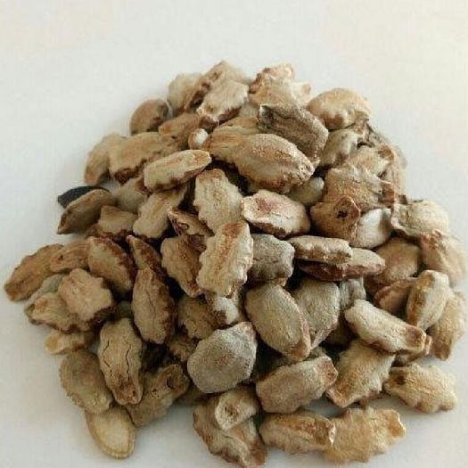 Snake Gourd Seeds Manufacturers, Suppliers, Exporters in Beijing